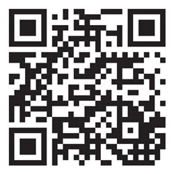 VIGOR Querlenkerbuchsen-Satz, hinten FORD / MAZDA / Volvo V2912 Anzahl Werkzeuge: 4