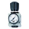 Schneider Druckminderer DM