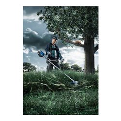 Bosch Akku-Freischneider GFR 25