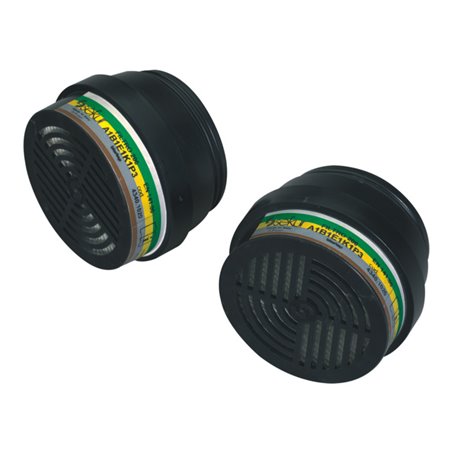 Ekastu Mehrbereichs-Kombifilter 200 A1B1E1K1-P3R D