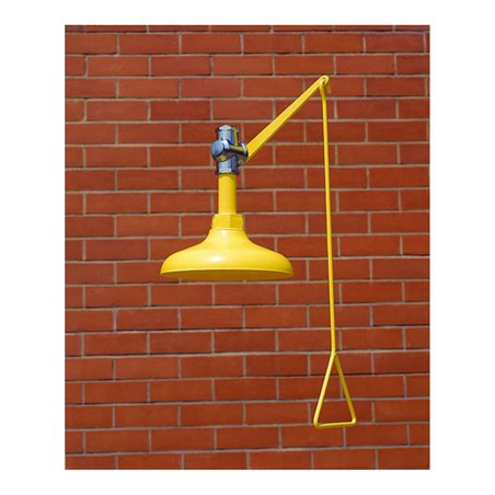 Erbstößer Körperdusche Deckenmodell AB001100 Kunststoff-Duschkopf