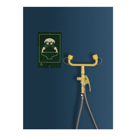 Erbstößer Augendusche AB003110 bewegliche Handdusche/Schlauchdusche 2-Strahlregler