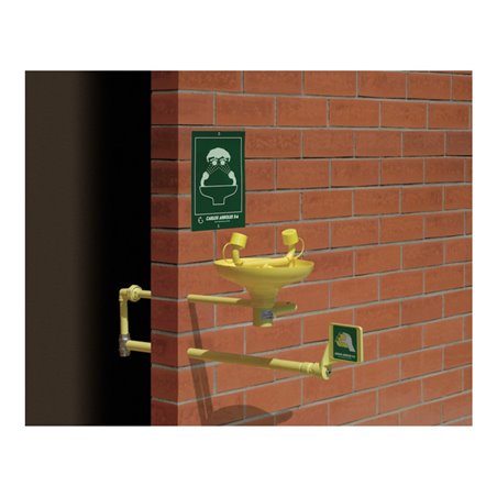 Erbstößer Augendusche AB2210FP Wandmodell Kunststofffrostsicher