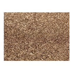 Schmutzfangmatte braun PA L1500xB900xS8 mm