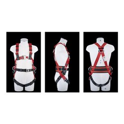 MAS Auffanggurt MAS60 Ausführung ''Economie'' für Größe 48-56