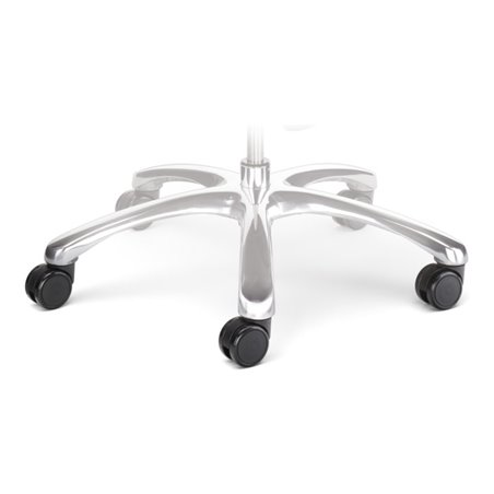 Taurosit Hartbodenrollen ø 65 mm Satz mit 5 Stück