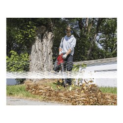 Scheppach 3-in-1 Elektro Laubbläser LB2600E 3,0kW