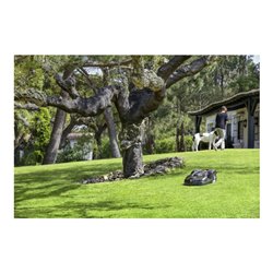 Husqvarna Mähroboter Automower 440 (aktuelles Modell)