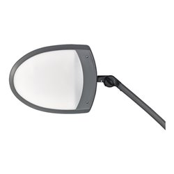 Schreibtischlampe Ku.schwarz/anthrazit m.Standfuß m.LED