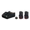 Bosch Akku Starter-Set: 2 x GBA 12 Volt 3,0 Ah und GAL 12V-40