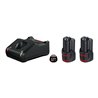 Bosch Akku Starter-Set: 2 x GBA 12 Volt 3,0 Ah und GAL 12V-40