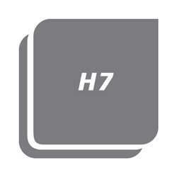 LMW Grenzlehrdorn DIN2245H7 2-tlg.