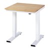 RAU Werktisch adlatus 300 elektrisch höhenverstellbar Buche-Massiv-Platte