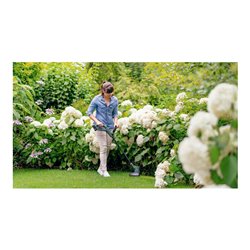 Bosch Akku-Rasentrimmer EasyGrassCut 18-260 mit 2 x PBA 18V 2,0 Ah Akku