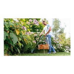 Bosch Rasentrimmer EasyGrassCut 23