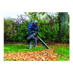 Scheppach Laubsauger und -bläser LBH2600P