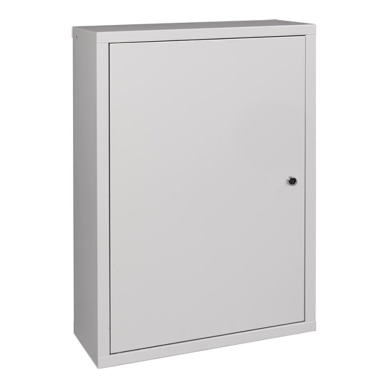 Hängeschrank H750xB500xT200mm Vollblech,1 BD Stahlbl.lichtgrau/lichtgrau