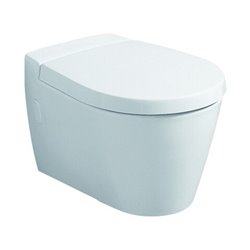 Geberit WC-Sitz Visit weiß, mit Deckel, Scharniere Edelstahl