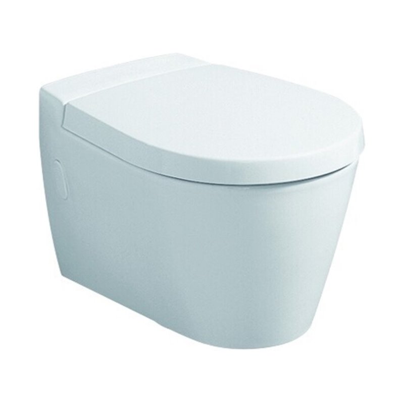 Geberit WC-Sitz Visit weiß, mit Deckel, Scharniere Edelstahl