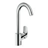 hansgrohe Spültisch-Einhebelmischer 260 Logis M31 1jet, chrom