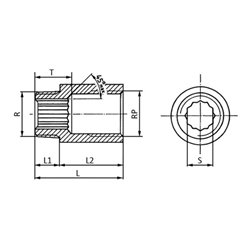 Hahnverlängerung DIN 3523 EN 10226-1 NPS 1/2 Zoll 33mm 13mm 20mm SPRINGER
