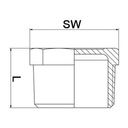 Stopfen EN 10226-1 NPS2 Zoll 8-kant L 32,5mm SPRINGER