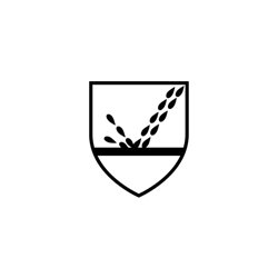 DuPont Schutzoverall Tychem® F grau Kat.III