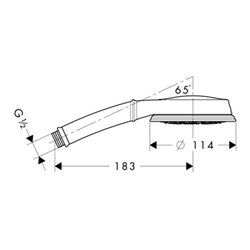 hansgrohe Handbrause CLASSIC MULTI CROMA 100 DN 15 chrom
