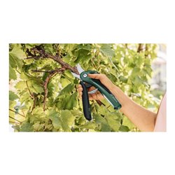 Bosch Akku-Gartenschere EasyPrune
