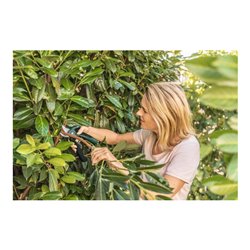 Bosch Akku-Gartenschere EasyPrune
