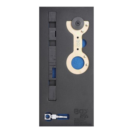 BGS Doppelvanos-Einstellwerkzeug-Satz für BMW M52TU / M54 / M56