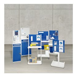 Rau Desinfektionsmittel-Set