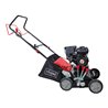 Scheppach Benzin-Vertikutierer 40 cm 118 cc inkl. Messer Walze