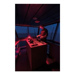 Scangrip Stirnlampe NIGHT VIEW mit weißem und rotem Licht