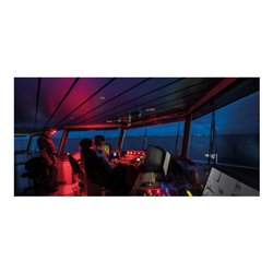 Scangrip Stirnlampe NIGHT VIEW mit weißem und rotem Licht