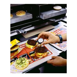 Testo Mini-Einstechthermometer