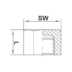 Kappe EN 10226-1 NPS3/4 Zoll 6-kant L 19mm SPRINGER