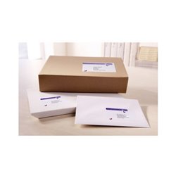 Avery Zweckform Versandetikett QuickPEEL L7169-100 400St./Pack.