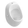 V&B Absaug-Urinal O.NOVO 290 x 520 x 320 mm, Zulauf von oben weiß