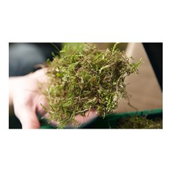 Bosch Rasenlüfter UniversalRake 900