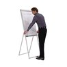 Franken Flipchart Standard Deluxe FC84 67x95cm hellgrau