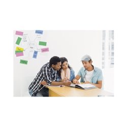 Legamaster Flipchartnotizen Magic 7-159499 10x20cm sort 500 St./Pack.