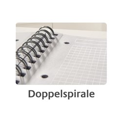 Avery Zweckform Collegeblock Notizio 7025 DIN A4 kar. 90Bl. grau