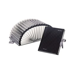 PAGNA Vorordner 24311-04 DIN A4 1-31 31Fächer PVC/Hartpappe sw