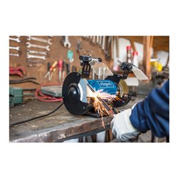 Scheppach Doppelschleifer SM150LB mit Bürste