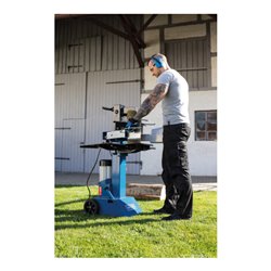 Scheppach Holzspalter stehend HL810