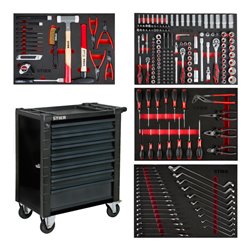 STIER Werkstattwagen mit Schutzvorrichtung und Seitentür bestückt 241-teilig