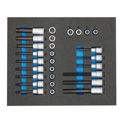 Gedore TS CT2-ITX19 Satz Schraubendrehereinsätze 1/2' in 2/4 Check-Tool-Modul
