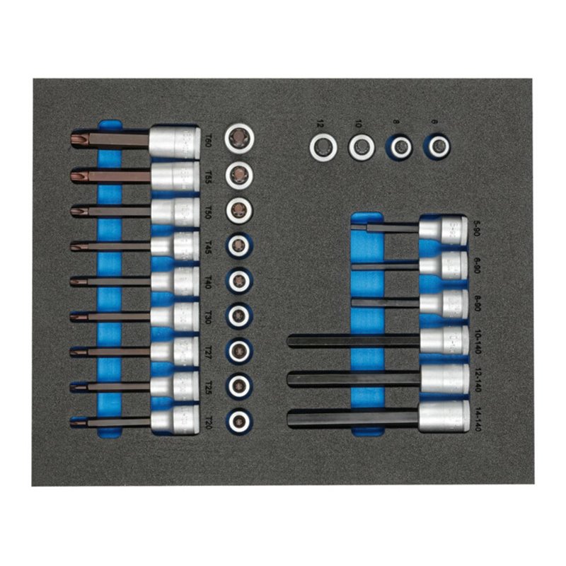 Gedore TS CT2-ITX19 Satz Schraubendrehereinsätze 1/2' in 2/4 Check-Tool-Modul