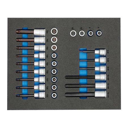 Gedore TS CT2-ITX19 Satz Schraubendrehereinsätze 1/2' in 2/4 Check-Tool-Modul